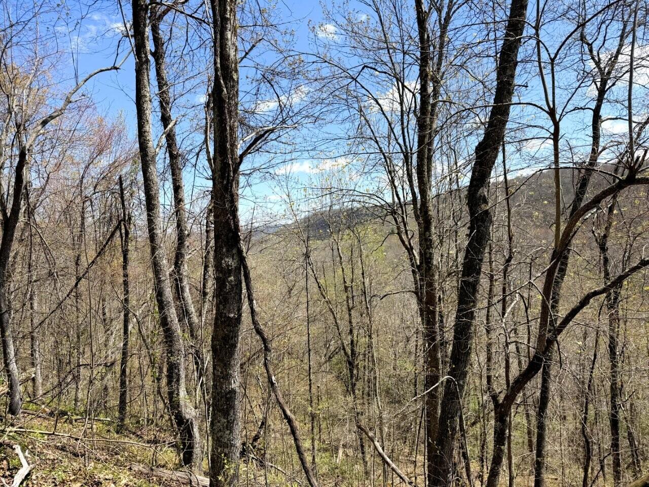 0 Iona Road White Oak, WV 25989 - Photo 40 of 150 Tract-12-Looking-At-13&14-IMG_3705