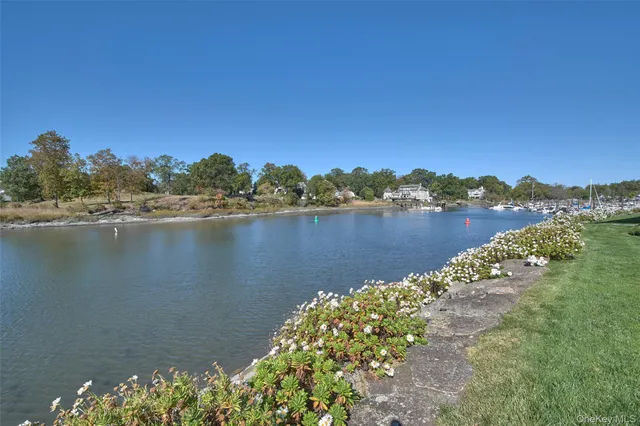 a view of a lake with a city
