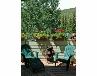 2753 Kinnickinnick Road, Unit 1 Vail, CO 81657 - Photo 5 of 6 Additional Photo