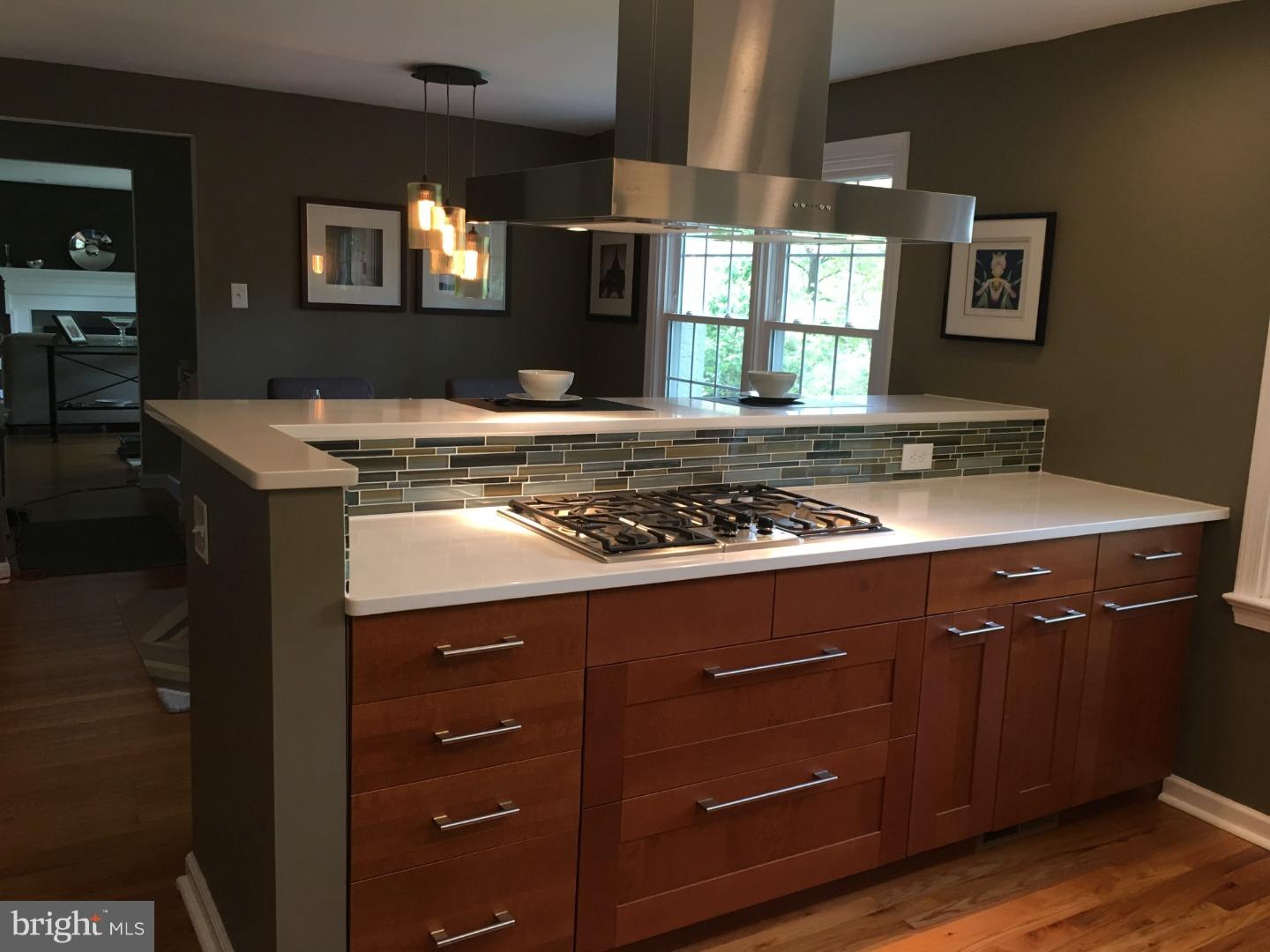 239 Arden Road Conshohocken, PA 19428 - Photo 5 of 15 Kitchen