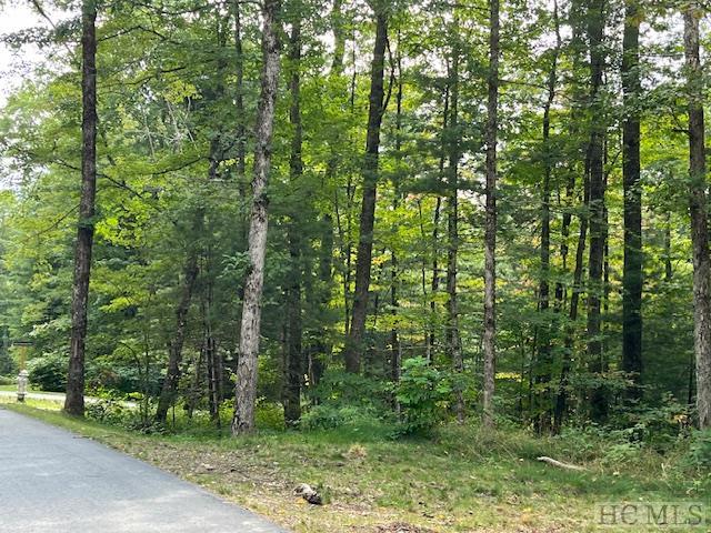 Lot 8 Norton Ridge Lane Highlands, NC 28741 - Photo 3 of 13 Gallery Image 3