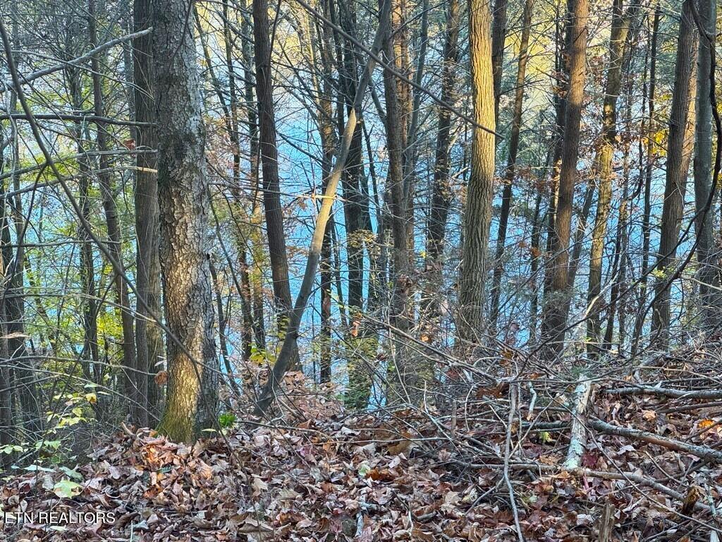 Bear Track Way Del Rio, TN 37727 - Photo 13 of 21 13