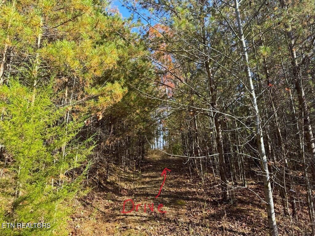 Bear Track Way Del Rio, TN 37727 - Photo 19 of 21 19