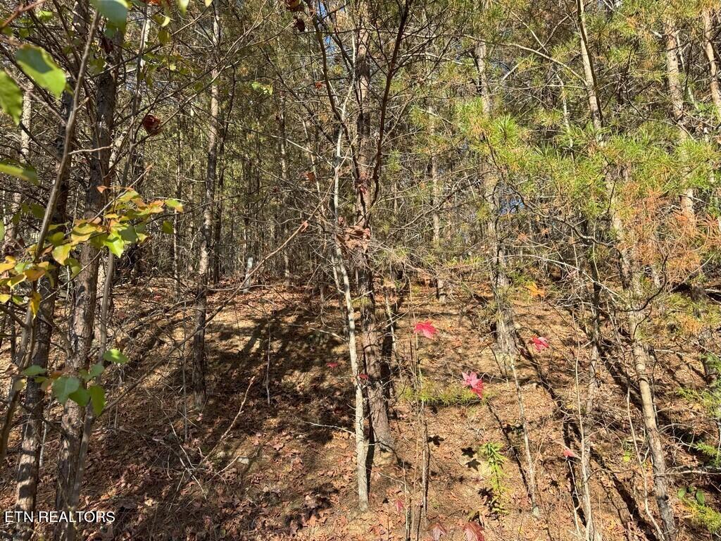 Bear Track Way Del Rio, TN 37727 - Photo 20 of 21 20