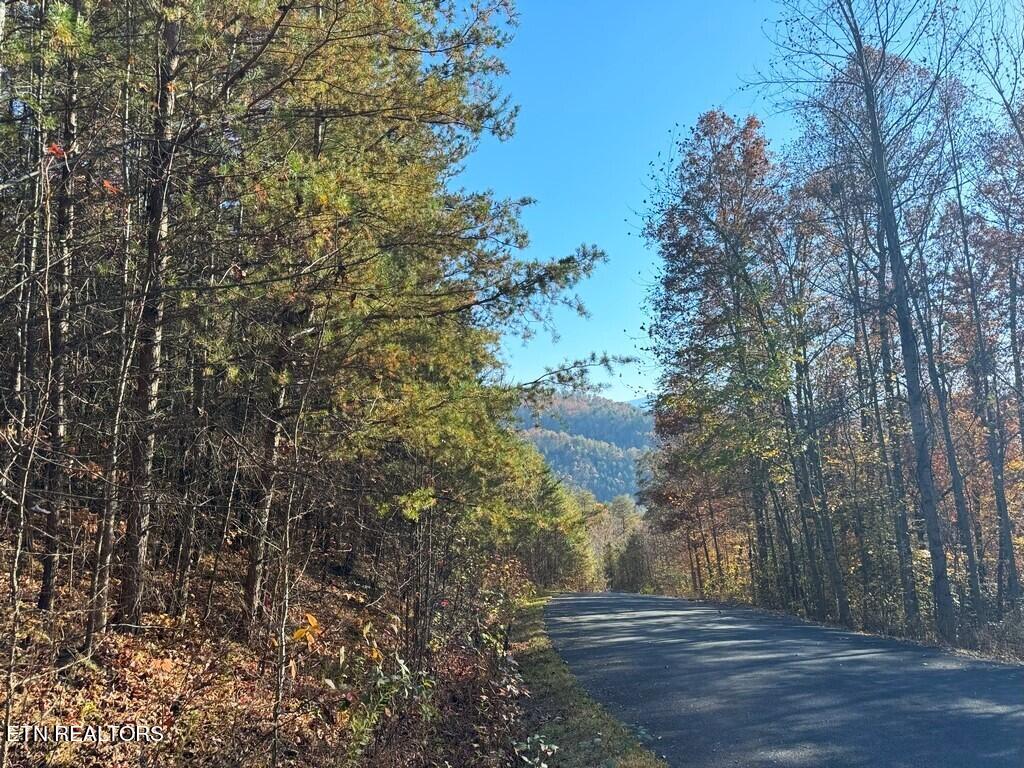 Bear Track Way Del Rio, TN 37727 - Photo 21 of 21 21