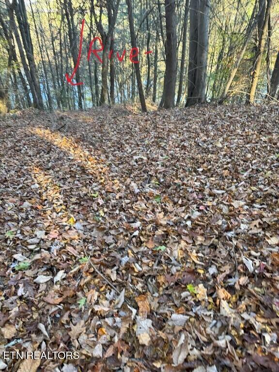 Bear Track Way Del Rio, TN 37727 - Photo 8 of 21 8