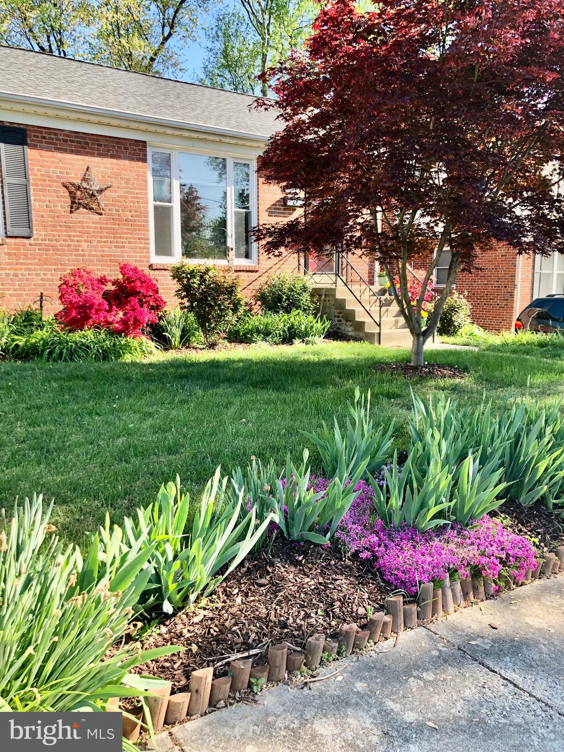 1515 Jasper Street Silver Spring, MD 20902 - Photo 6 of 57 Gallery Image 6