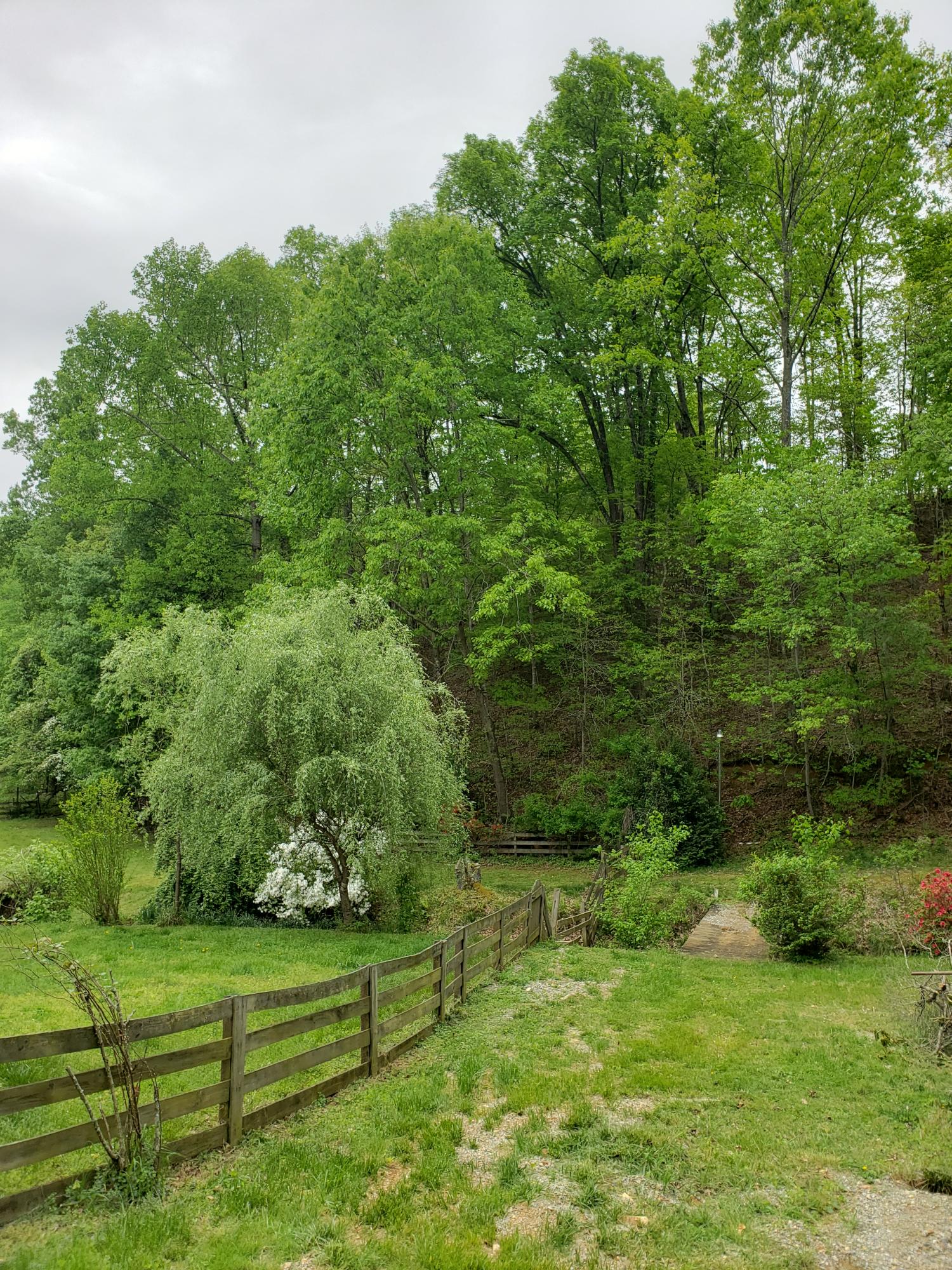 848 Coopers Cove Road Hardy, VA 24101 - Photo 12 of 13 Yard 2