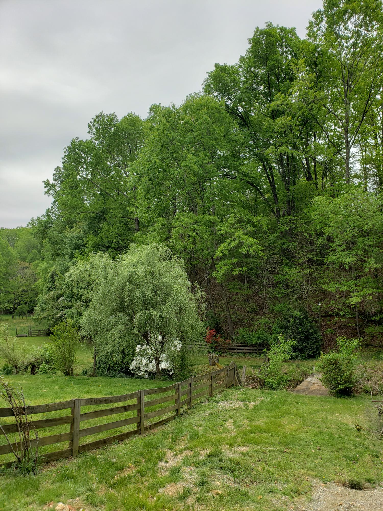 848 Coopers Cove Road Hardy, VA 24101 - Photo 13 of 13 Yard