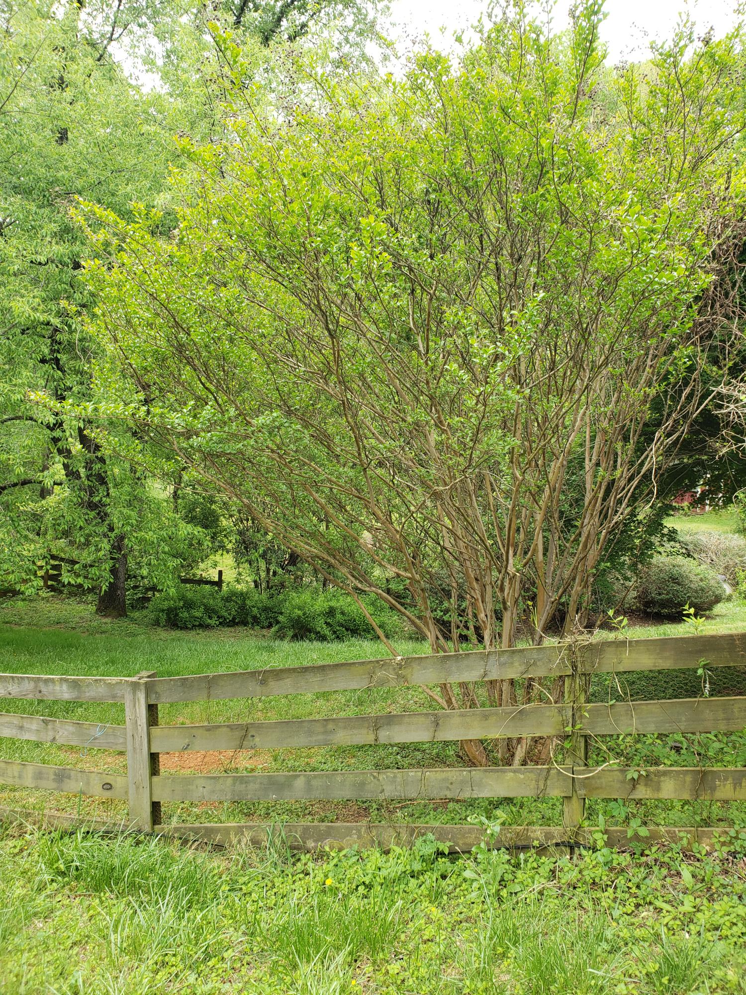 848 Coopers Cove Road Hardy, VA 24101 - Photo 10 of 13 Fence