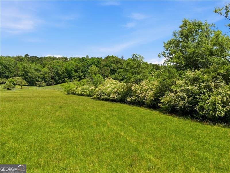619 Hamp Mill Road Dahlonega, GA 30533 - Photo 108 of 118