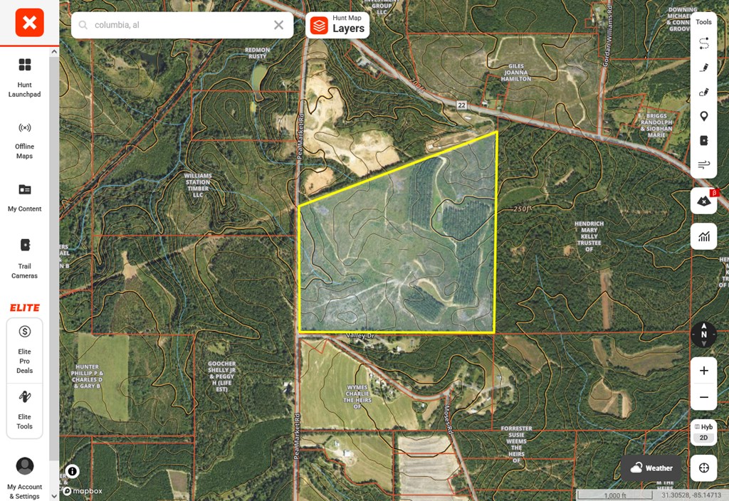 . Pea Market Road Columbia, AL 36319 - Photo 3 of 6