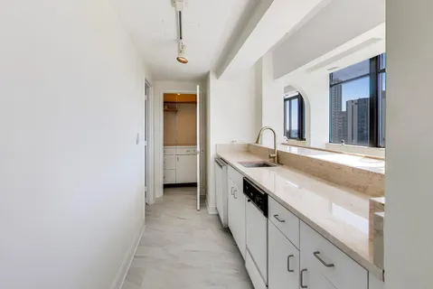 $1,350,000 | 1 East Schiller Street, Unit PHW, Chicago, IL 60610