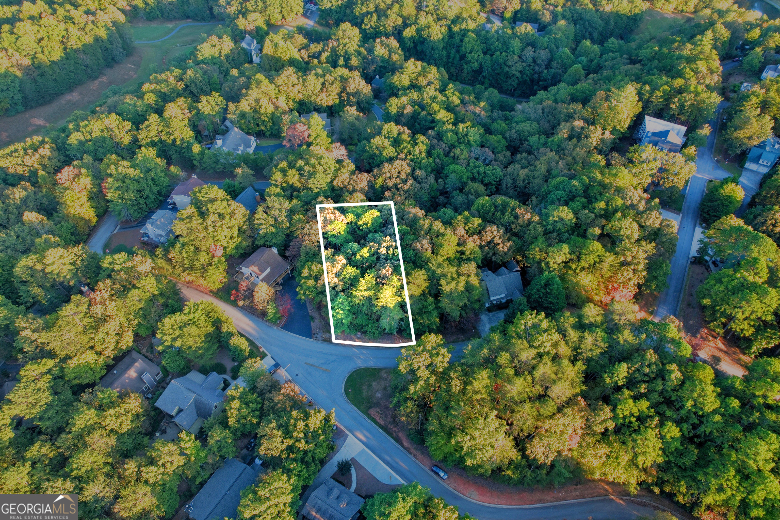 0 Zeppelin Strasse Helen, GA 30545 - Photo 2 of 8 a picture of flowers