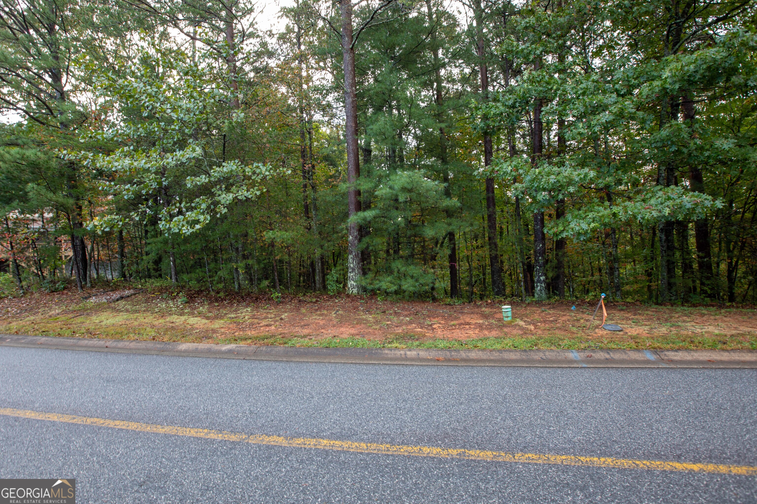 0 Zeppelin Strasse Helen, GA 30545 - Photo 3 of 8 a view of a yard with large trees