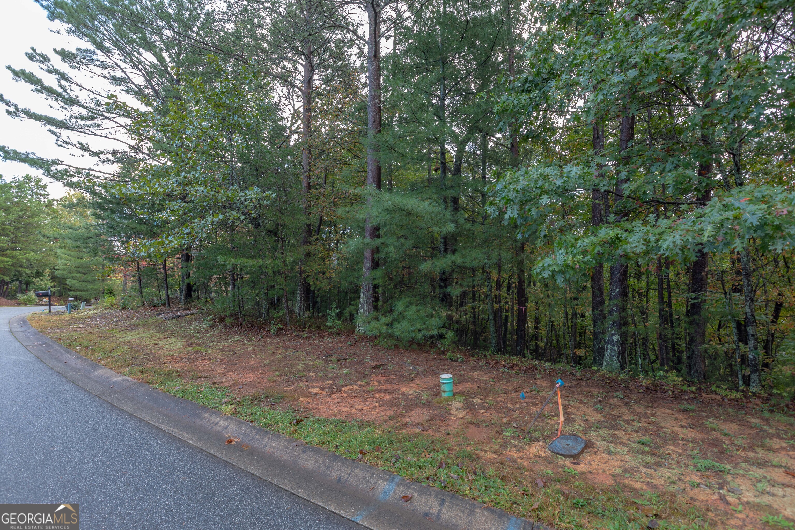 0 Zeppelin Strasse Helen, GA 30545 - Photo 4 of 8 a view of a out door space