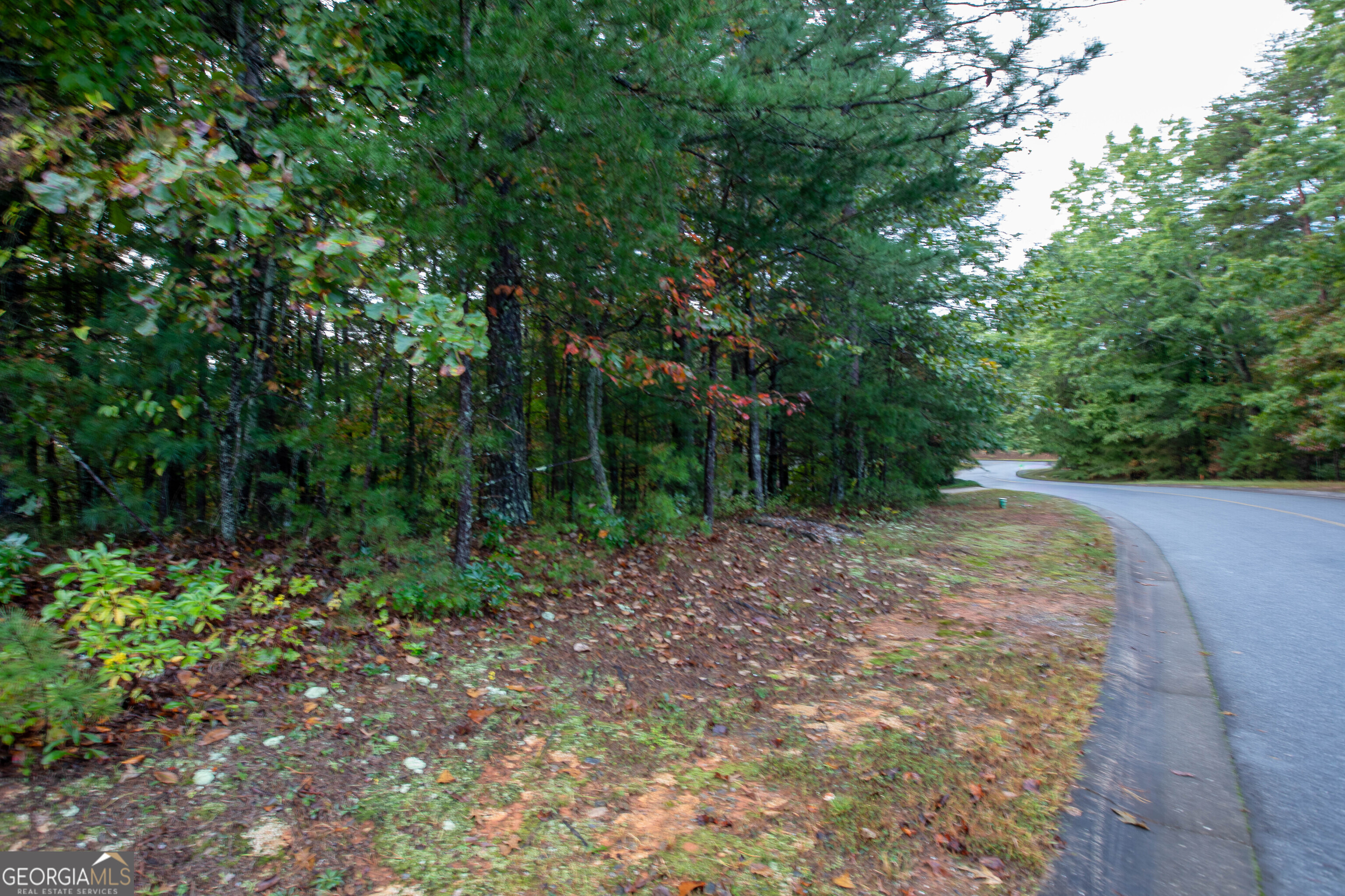 0 Zeppelin Strasse Helen, GA 30545 - Photo 6 of 8 a view of outdoor space and yard