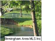 225 Legacy Ridge West Springville, AL 35146 - Photo 6 of 8