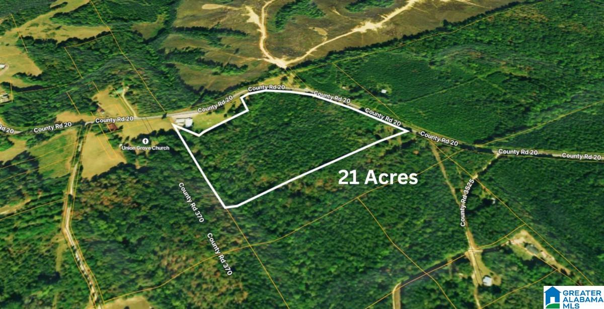 20 County Road Haleyville, AL 35565 - Photo 14 of 17