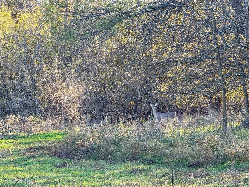 5 Talbert Ranch Road China Spring, TX 76633 - Photo 19 of 29