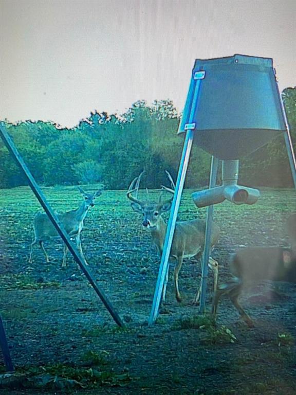 5 Talbert Ranch Road China Spring, TX 76633 - Photo 27 of 29