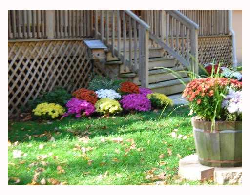 606 Spring Lake Road Burrillville, RI 02826 - Photo 11 of 12 Yard/Garden.