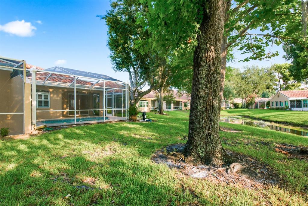 3857 Timber Ridge Court Palm Harbor, FL 34685 - Photo 39 of 56
