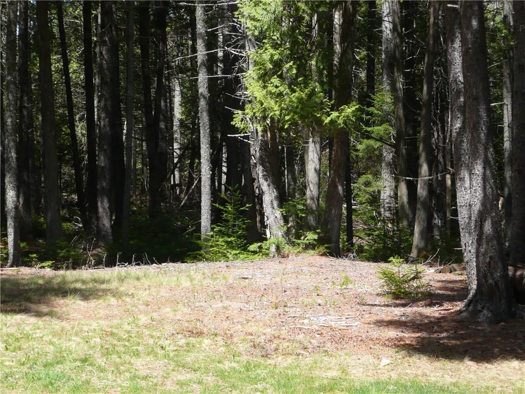 0 Salt Pond Road Hancock, ME 04640 - Photo 6 of 6 Photo
