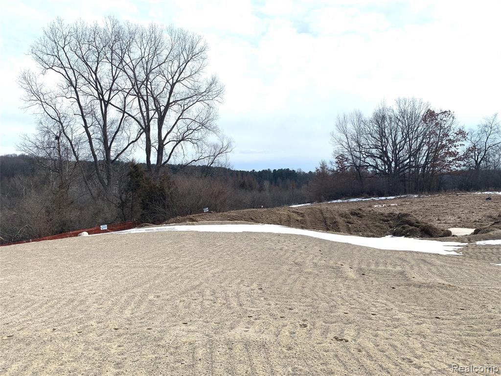 0 Chestnut Springs Drive Howell, MI 48843 - Photo 6 of 7
