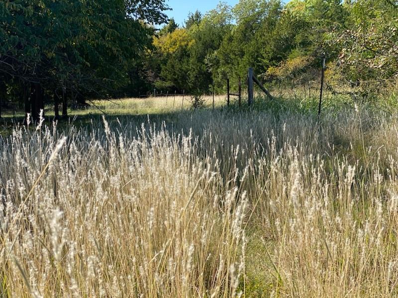 1198 South Clark Road Cedar Hill, TX 75104 - Photo 26 of 33