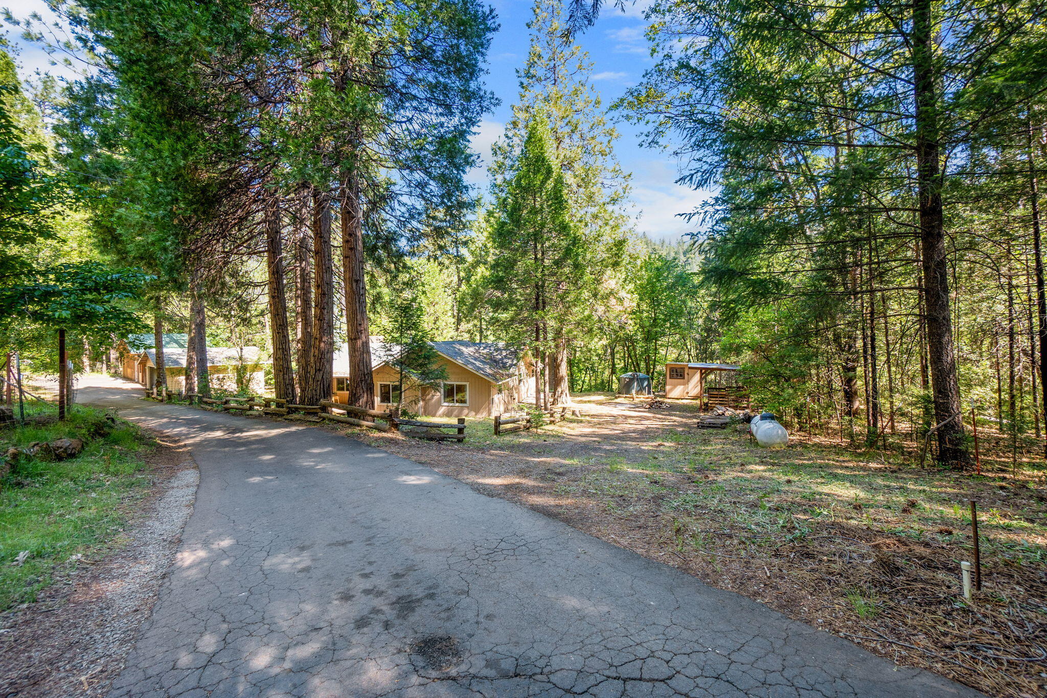 30303 Oak Run To Fern Road Whitmore, CA 96096 - Photo 57 of 75 a view of a tree in front of a house