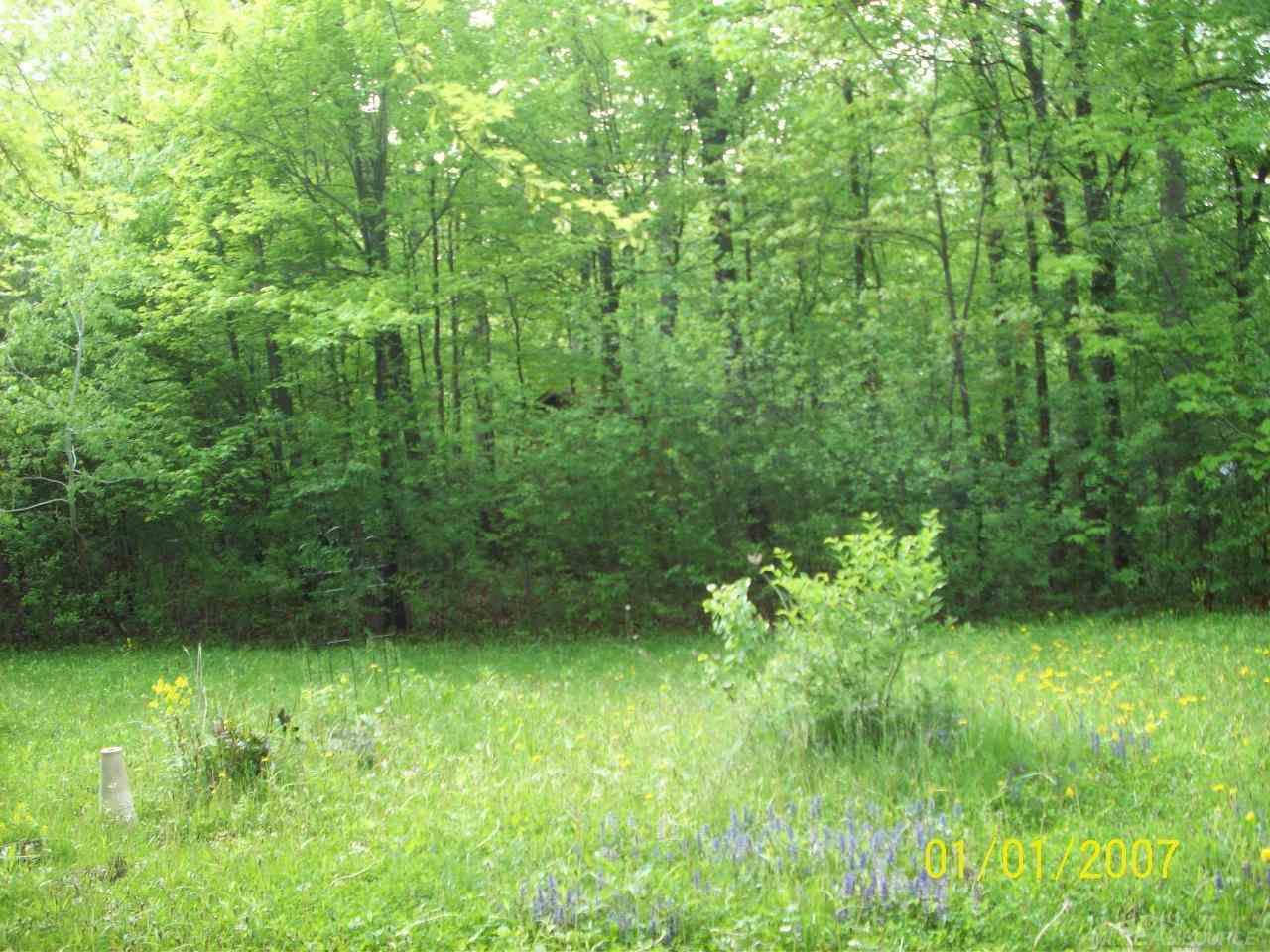 3295 Cone Avenue Rochester Hills, MI 48309 - Photo 8 of 8