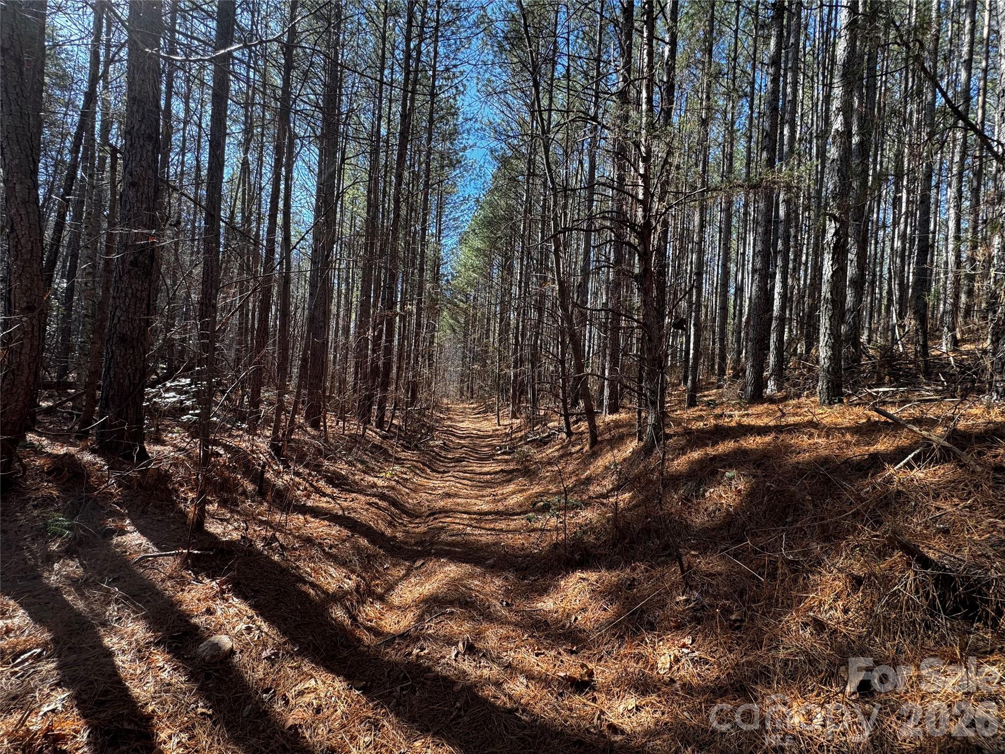 a view of outdoor space with trees
