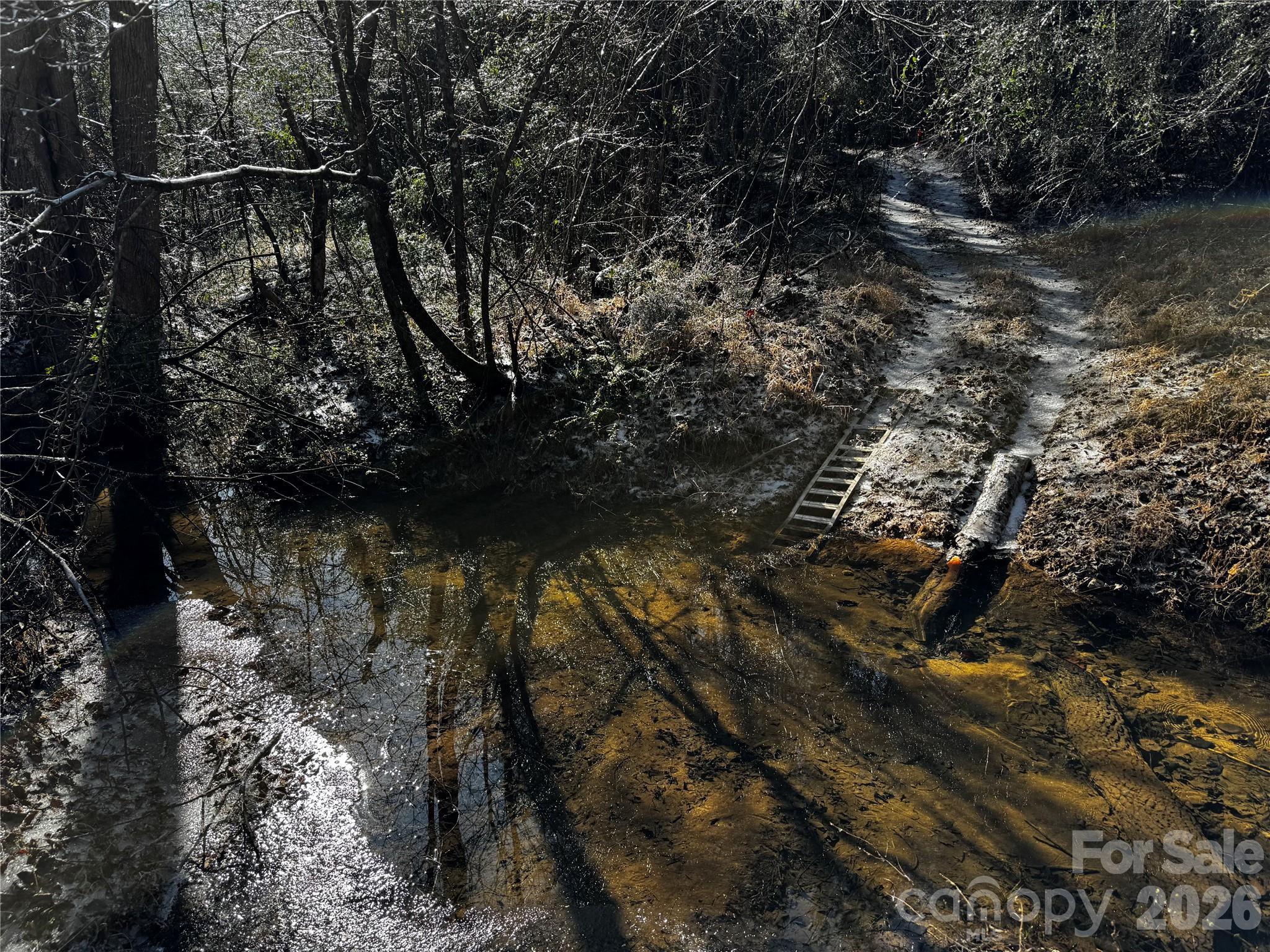 0 Painters Gap Road Union Mills, NC 28167 - Photo 13 of 28 a view of a forest