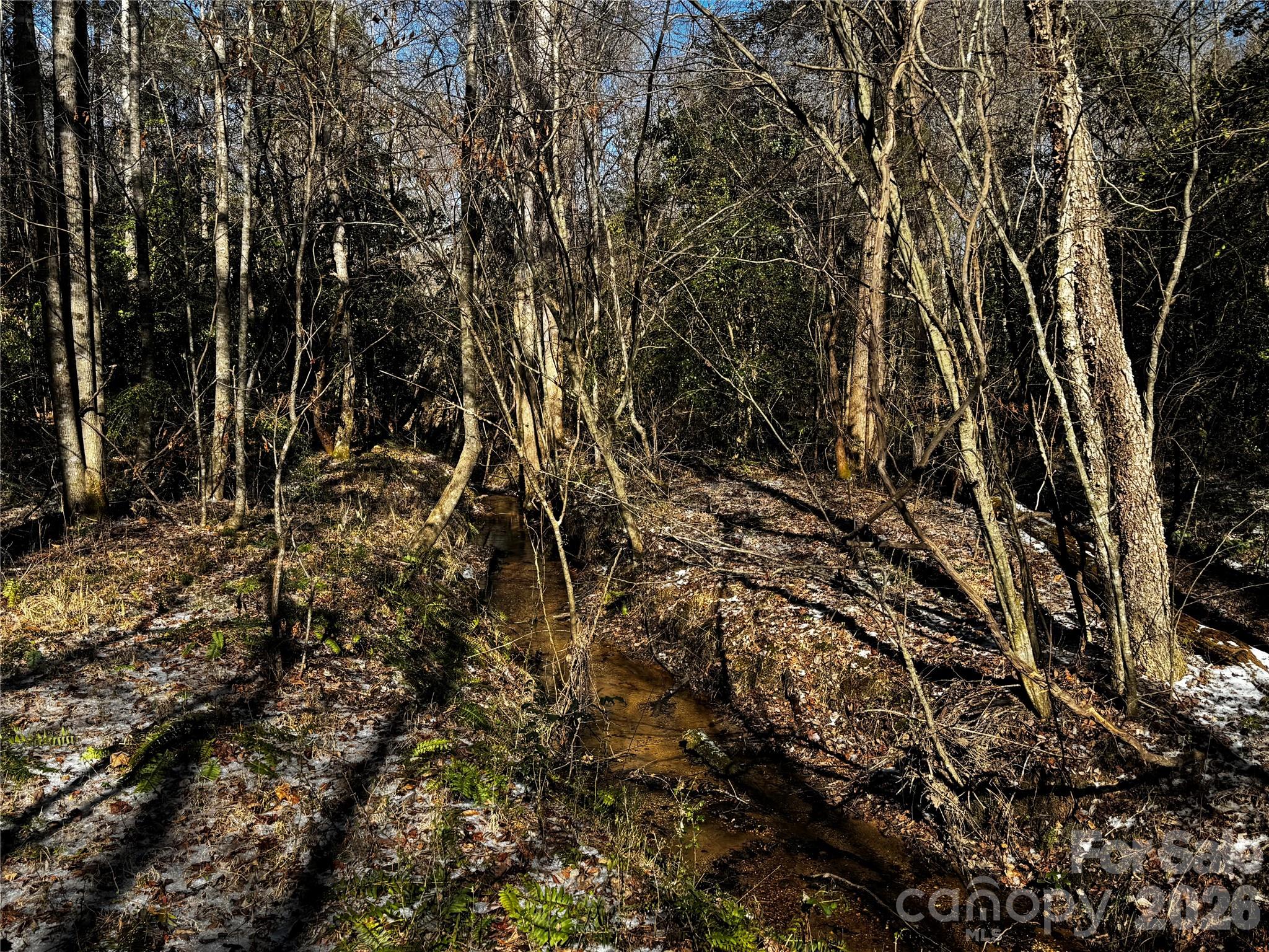 0 Painters Gap Road Union Mills, NC 28167 - Photo 15 of 28