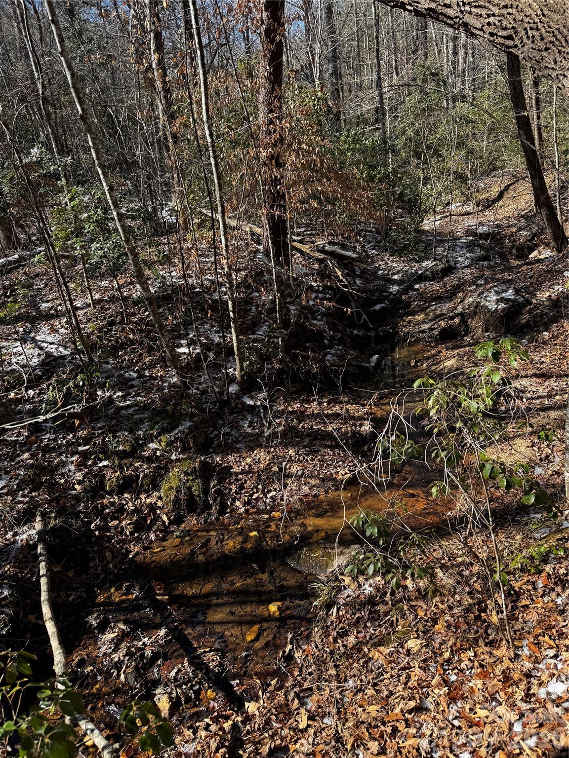 0 Painters Gap Road Union Mills, NC 28167 - Photo 16 of 28 a view of outdoor space