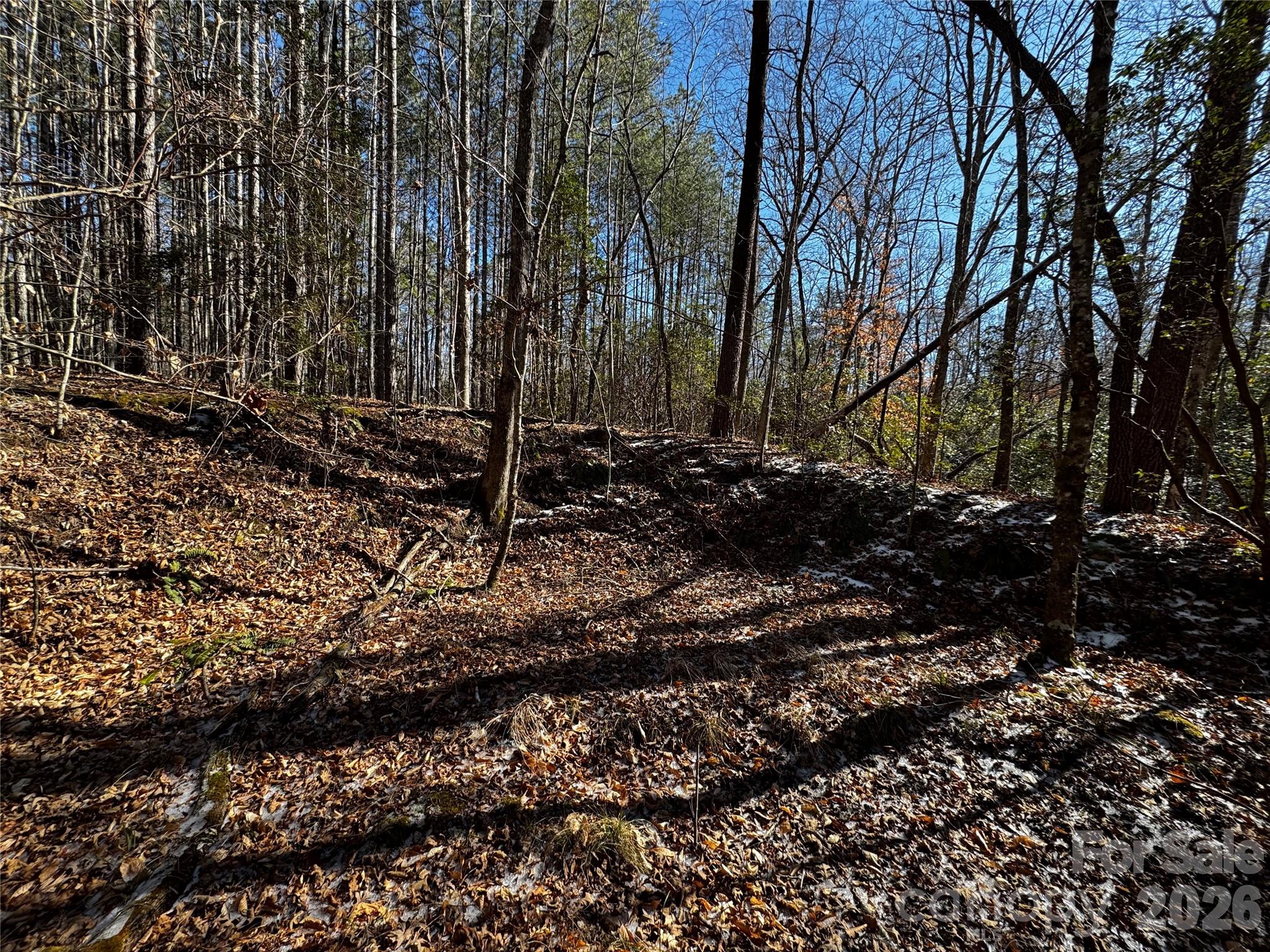0 Painters Gap Road Union Mills, NC 28167 - Photo 18 of 28 a view of a backyard of the house