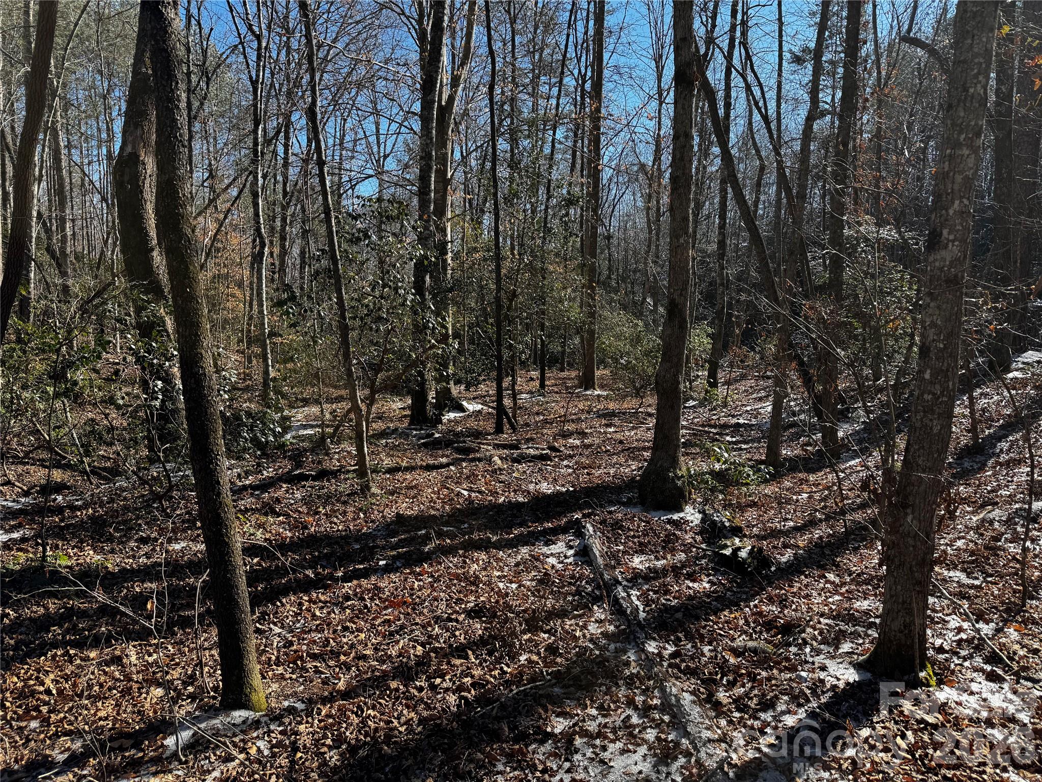 0 Painters Gap Road Union Mills, NC 28167 - Photo 19 of 28 a view of a forest with trees