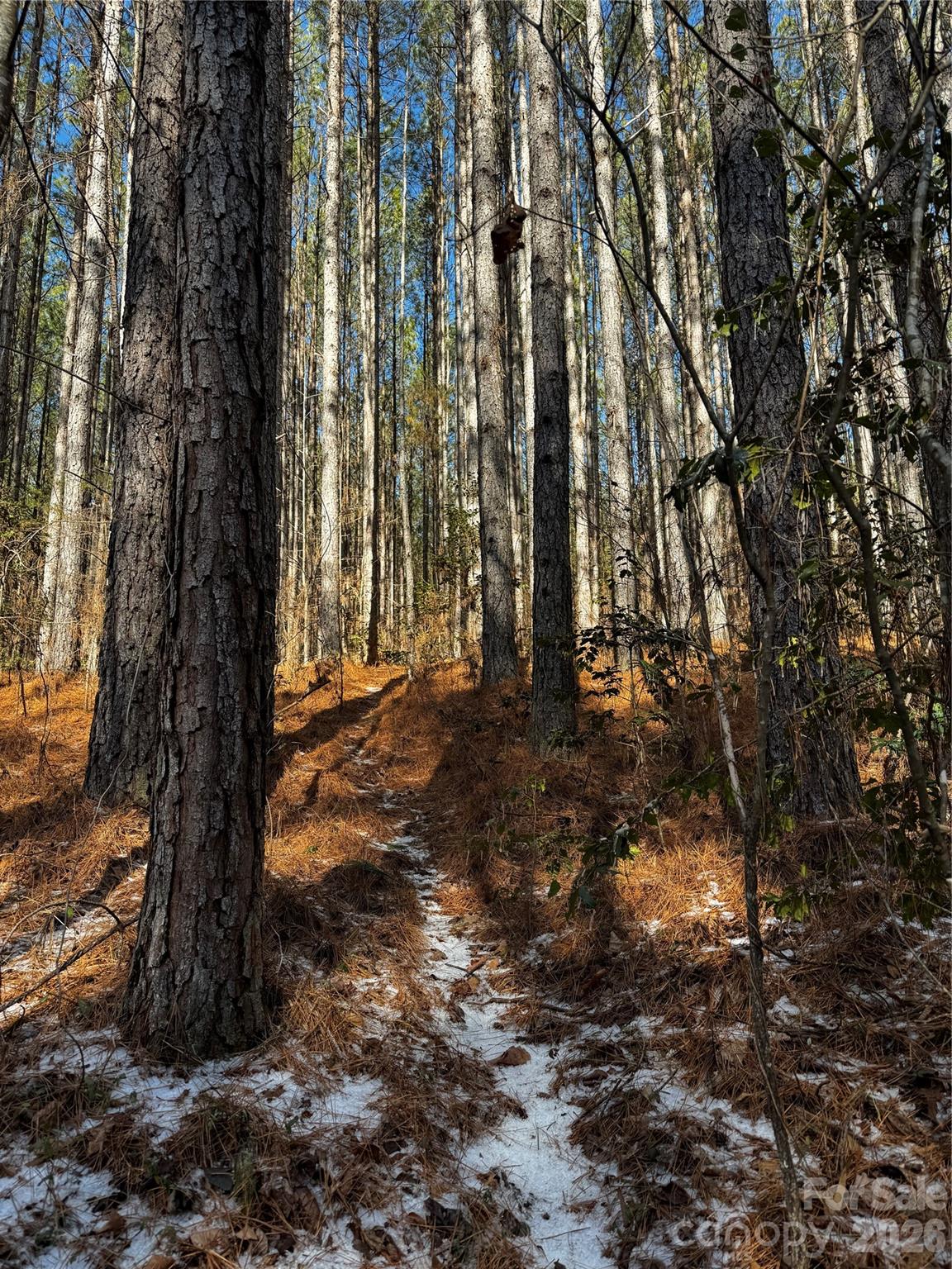 0 Painters Gap Road Union Mills, NC 28167 - Photo 20 of 28 a view of outdoor space with trees