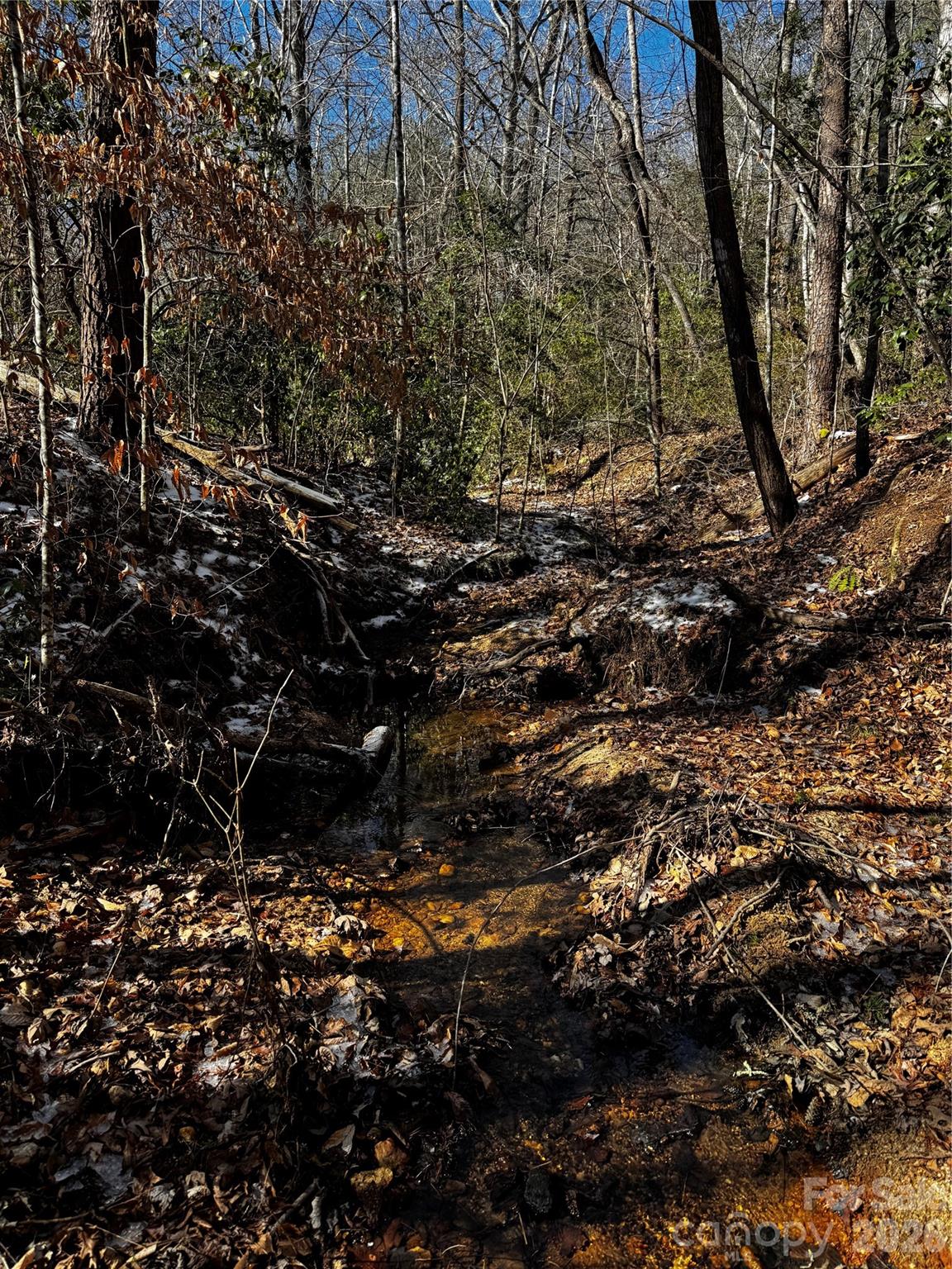 0 Painters Gap Road Union Mills, NC 28167 - Photo 2 of 28 a view of outdoor space and a forest