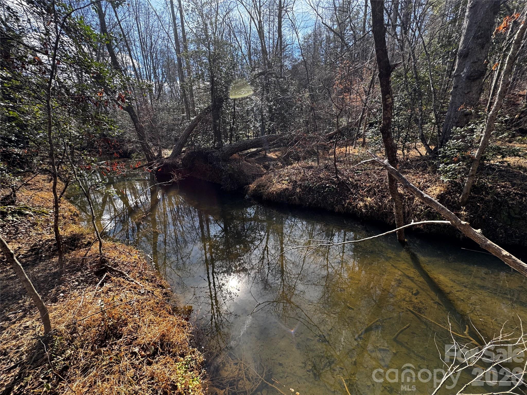 0 Painters Gap Road Union Mills, NC 28167 - Photo 27 of 28 a view of river covered with trees
