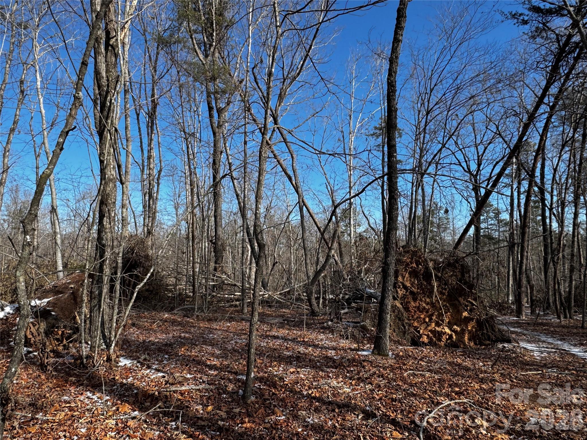 0 Painters Gap Road Union Mills, NC 28167 - Photo 3 of 28 a backyard of a house with lots of green space