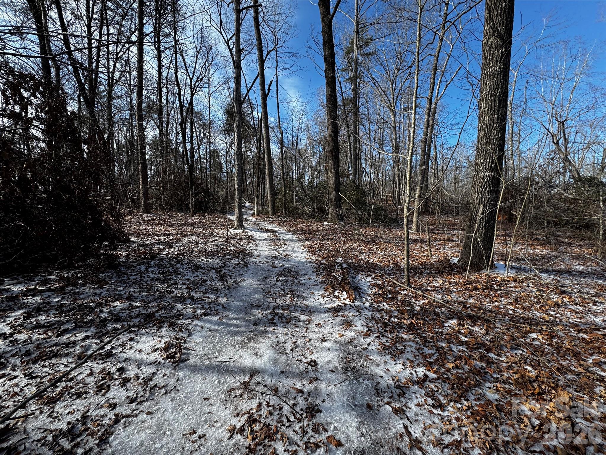 0 Painters Gap Road Union Mills, NC 28167 - Photo 4 of 28 a view of a yard with trees