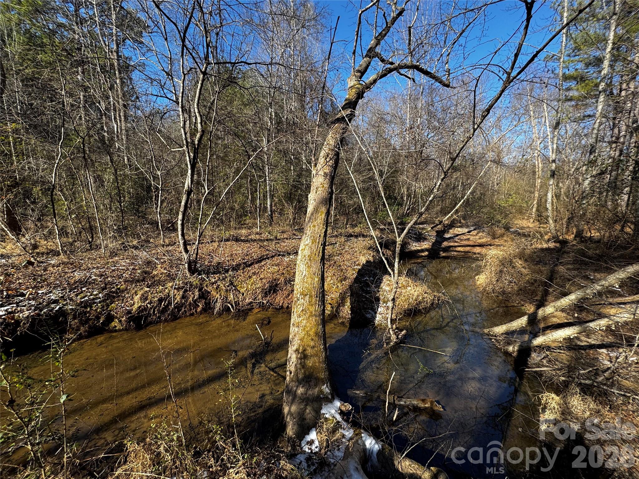 0 Painters Gap Road Union Mills, NC 28167 - Photo 5 of 28