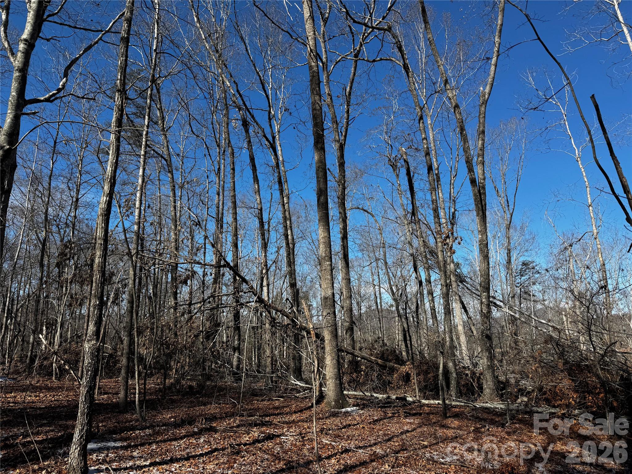 0 Painters Gap Road Union Mills, NC 28167 - Photo 6 of 28 a view of a yard