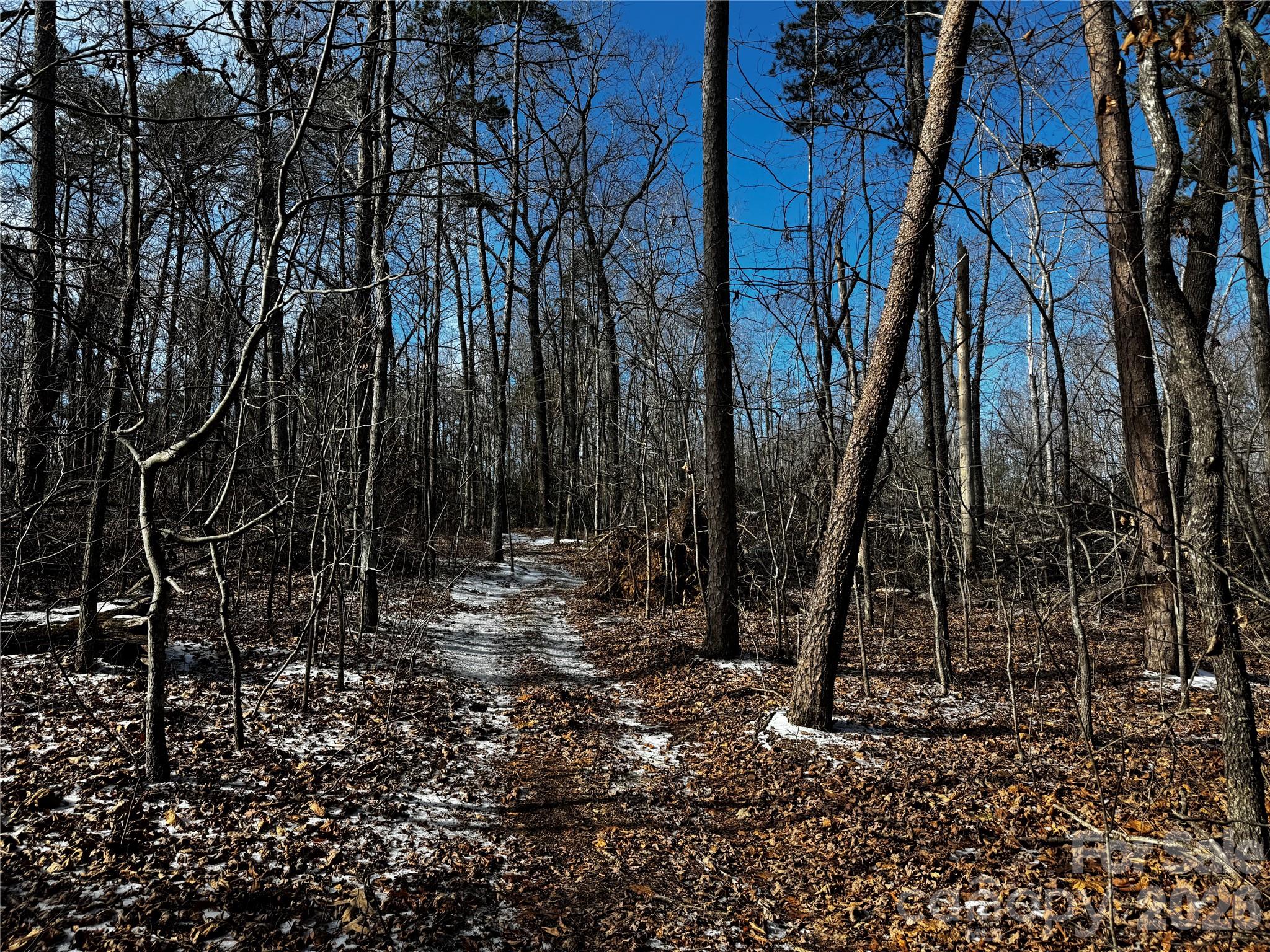 0 Painters Gap Road Union Mills, NC 28167 - Photo 9 of 28 a view of a backyard