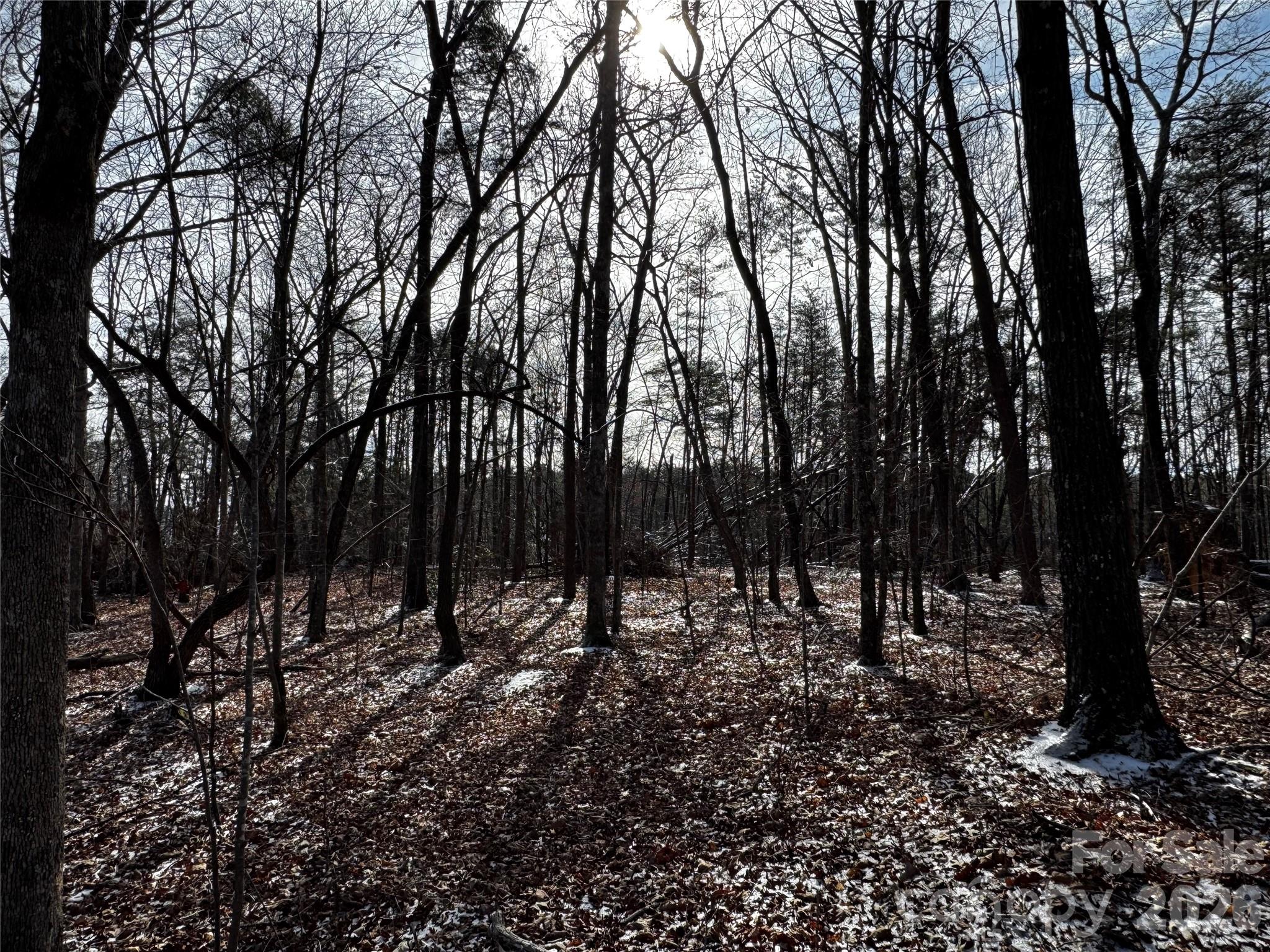 0 Painters Gap Road Union Mills, NC 28167 - Photo 10 of 28 a view of outdoor space with trees