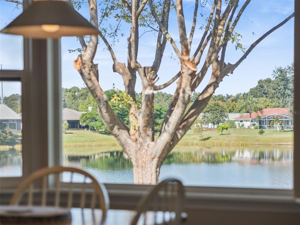 26450 Evert Street Leesburg, FL 34748 - Photo 11 of 93 a view of a porch with a yard