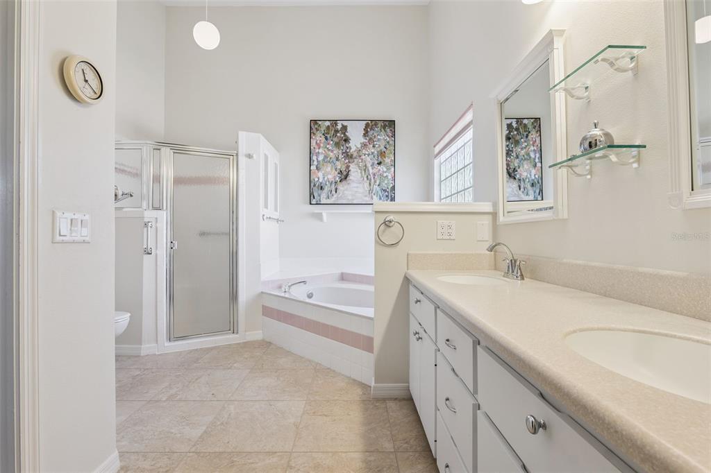 26450 Evert Street Leesburg, FL 34748 - Photo 28 of 93 a spacious bathroom with a granite countertop sink a toilet a mirror a vanity and shower