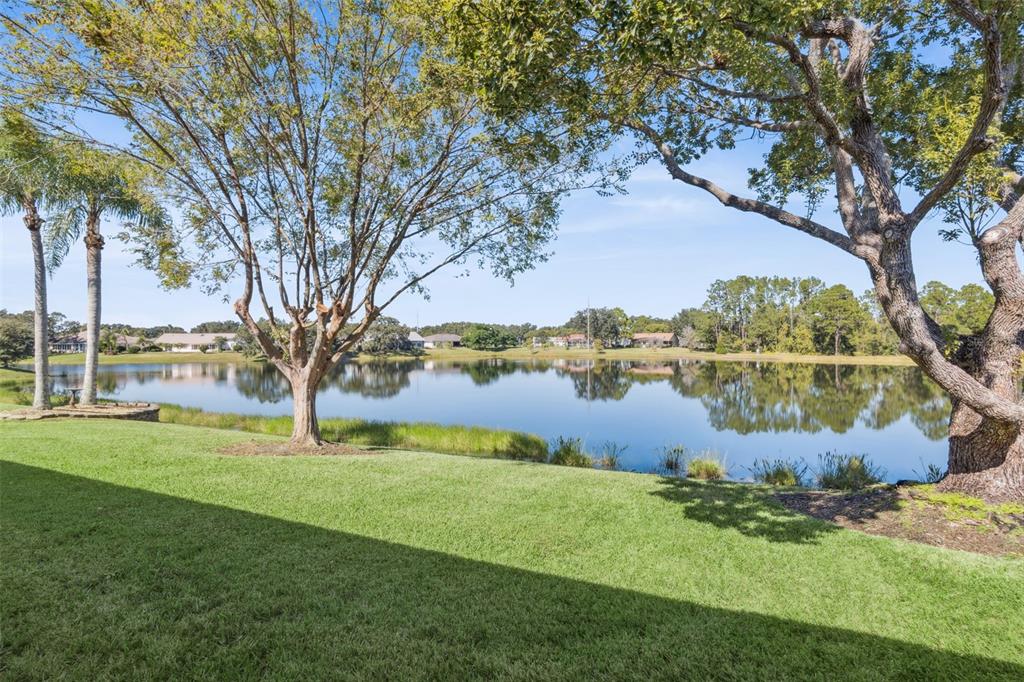 26450 Evert Street Leesburg, FL 34748 - Photo 42 of 93